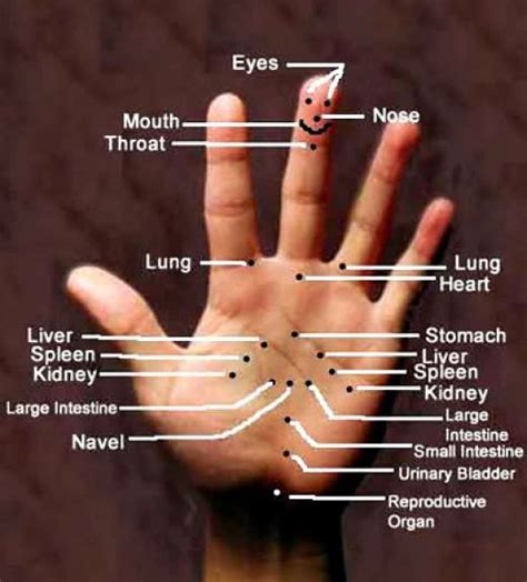 angel acupressure photos|angel acupressure reviews.